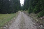 Au moins les arbres coupent un peu le vent