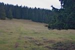 Au milieu, il y a un panneau, il est possible de rejoindre Creux à la Biche depuis là, en partant sur la gauche