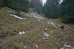 Nous suivons le sentier qui navigue dans une ouverture de la forêt. Le secteur est humide, comme souvent
