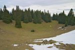 Nous passons devant le Creux à la Biche, les arbres au centre de la photo