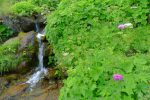 Un petit ruisseau