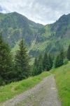 Au centre le chemin de la montée pour les Chalets de Tavaneuse.