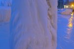 Détail de la glace de l'arbre