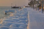 Seul un côté des arbres est pris par la glace.