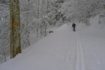 Une nouvelle fois nous croisons la route