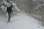 Et nous longeons le chemin d'été à travers la forêt