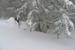 Retour dans la forêt