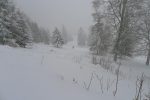 La neige colle et nous avonçons lentement. Pâturage de Le Rez