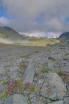 On retrouve le sentier. Vue du Lac du Grand Désert, on part dans mon dos.