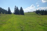 Ferme La Racine en vue