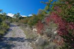 Couleur d'automne, assez rare dans la région