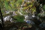 Nous reprenons le chemin et arrivons en haut de la cascade, des traces descende vers le ruisseau mais le chemin est pentu.