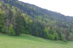 On s'enfonce dans la forêt. Il y a un panneau au bord de la route et une marque est présente sur le tronc d'un arbre