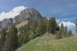 Col des Gaules, on continue tout droit