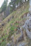 Même point de vue, mais en regardant vers le haut. Terrain entre mottes de terres et rochers