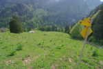 On navigue à vue dans ce champ jusqu'à la ferme de Pierra Derrey en bas