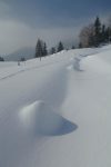 Piquets cachés par la neige