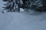Descente en forêt, qu'on quitte au plus vite à gauche