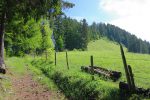 Un passage au soleil et un peu plus doux avant de retrouver la forte pente en forêt