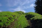 On sort enfin de la forêt, le chemin semble se calmer