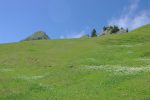 On monte au mieux, pas vu de chemin