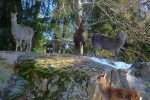 La famille au complet, peu effrayé par ma présence