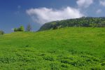 Sur notre gauche, vue sur le champ de Sagne Vuagnard