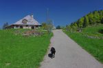 Nous passons devant la ferme Petite Dent-Dessous (1194m).