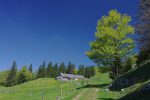 La ferme de Petite Dent-Dessus, 1348m