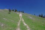 On emprunte le chemin des 4x4, le chemin normal est un brin plus à gauche.