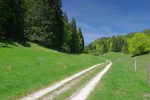 Ligne droite avant de retrouver le chemin de la montée