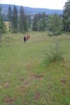 Puis une descente à travers les arbres