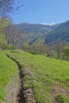 Belle le long du bisse de Saint-Jean