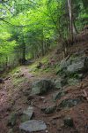 Long passage en forêt, bien mouatte