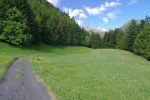 De retour dans la forêt avec la Pointe de l'Erse et la Dent de Valerette