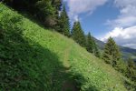 Le haut de cette clairière