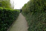 On longe cette haie