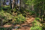 Le chemin de la crête