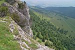 Je vais descendre un peu plus loin, par la forêt puis le pâturage au dessus des deux fermes