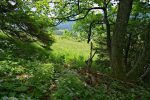 Et je sors de la forêt pour le patûrage detrempé, je mets donc les guêtres