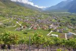 Vue sur Salgesch