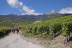Marche sous le regard des sommets de Crans-Montana