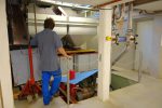 Puis vont cheminer à l'intérieur