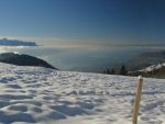 Le Léman se découvre un peu. Vue latérale arrière.