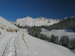 La route continue en direction de la cabane du ski club de Montreux (Chalet de Planiaz)