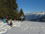 Nous rencontrons un autre propriétaire de chien qui ne se lasse pas de rechercher les boules de neige !