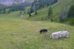 La route et la ferme Le Lapé en vue