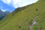 A flanc de coteau