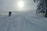 En sortant de la forêt, vent à volonté