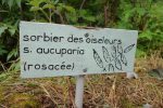 Un des petits panneaux